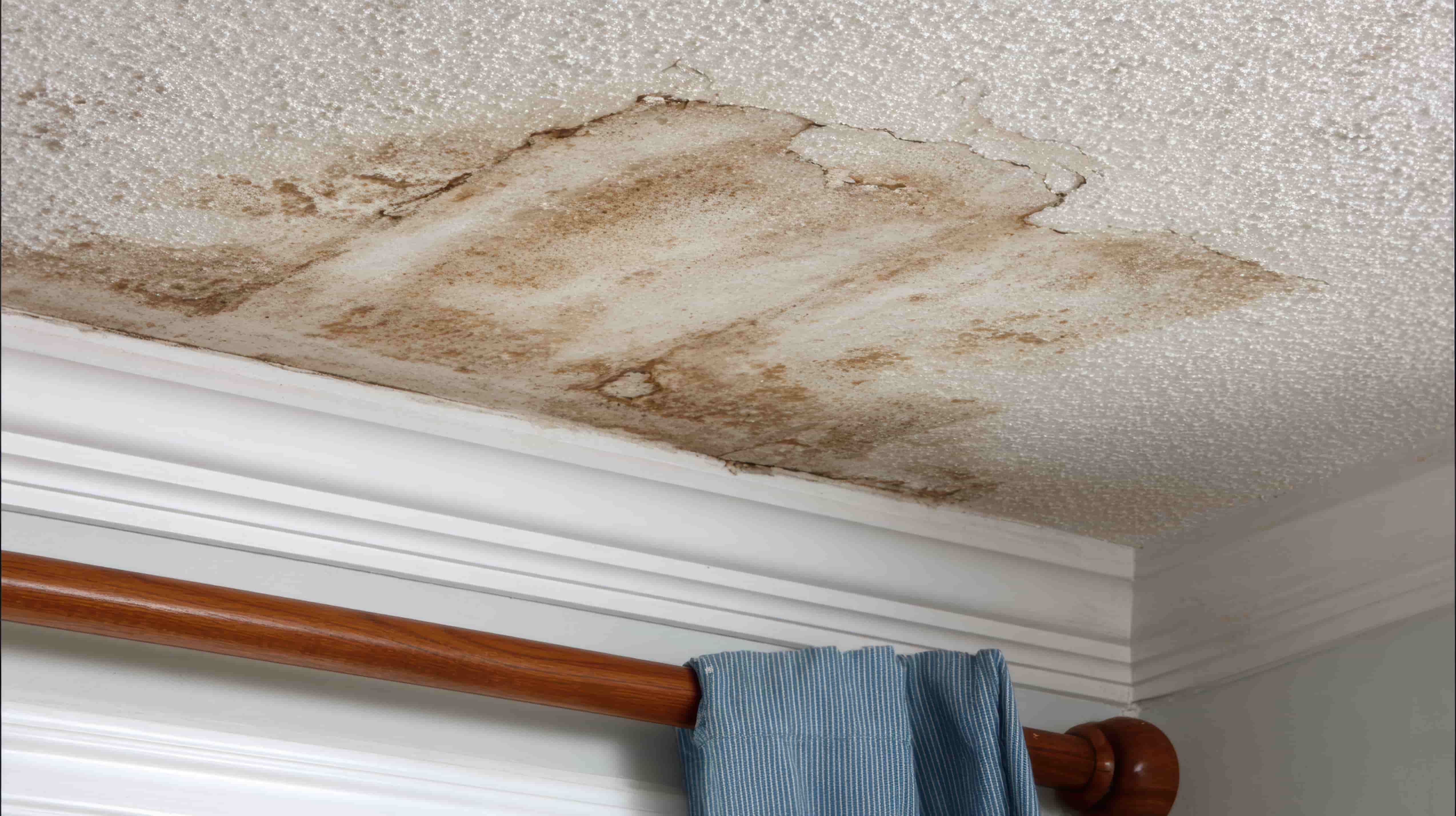 Water damage drywall repair