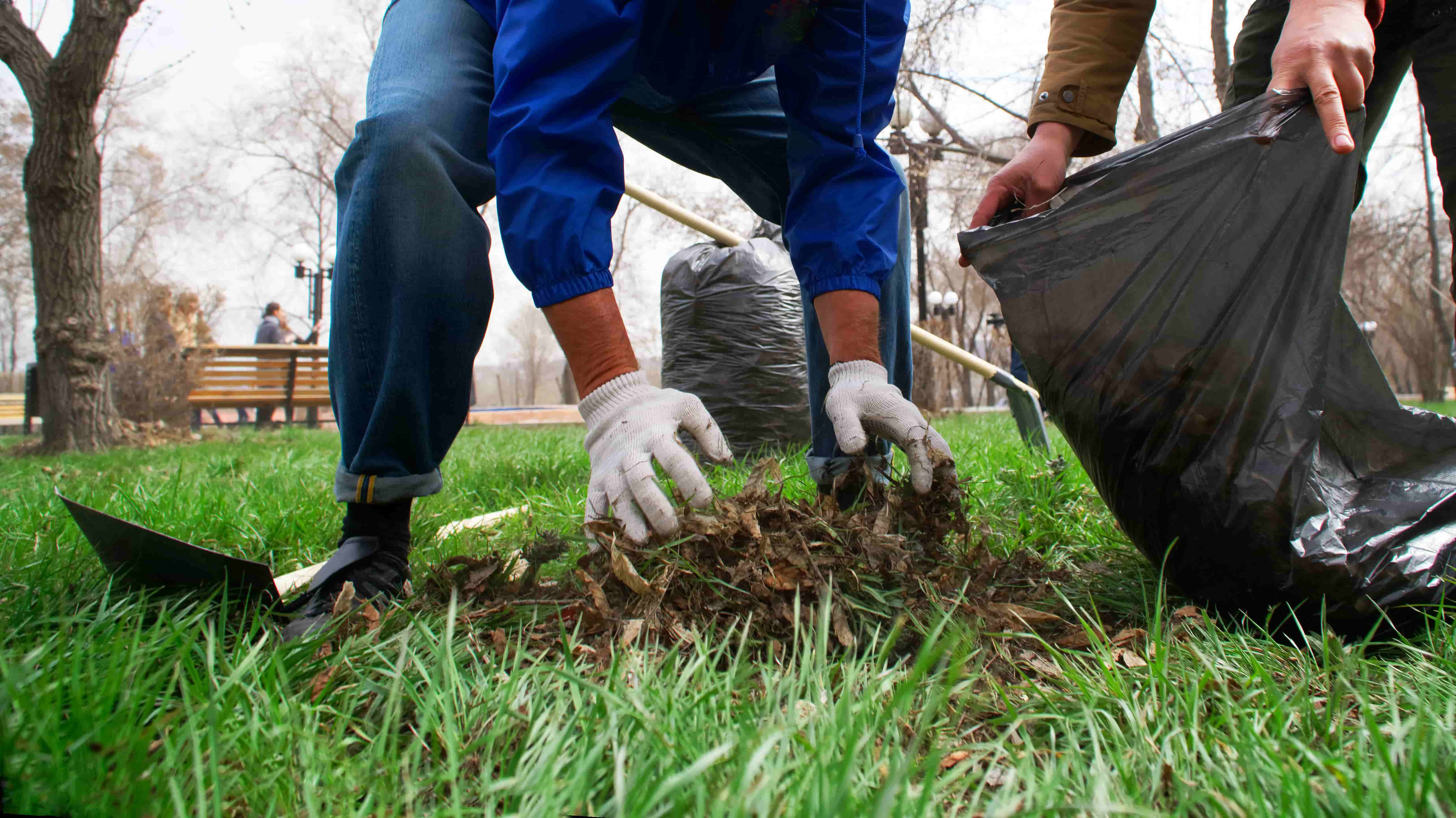 Spring cleanup